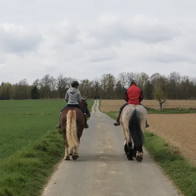 Zwei Reiter auf Pferden auf einem Feldweg durch nordhessische Landschaft
